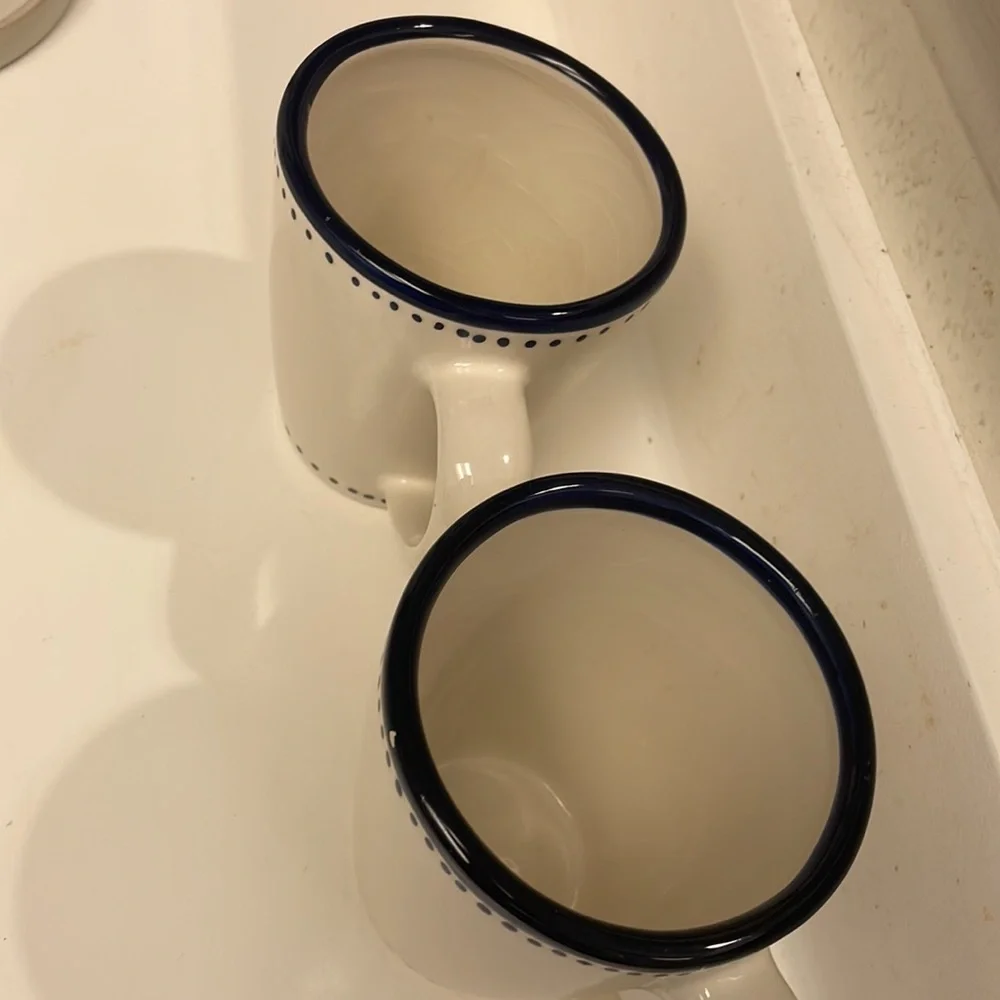 Pottery Barn cup mug set